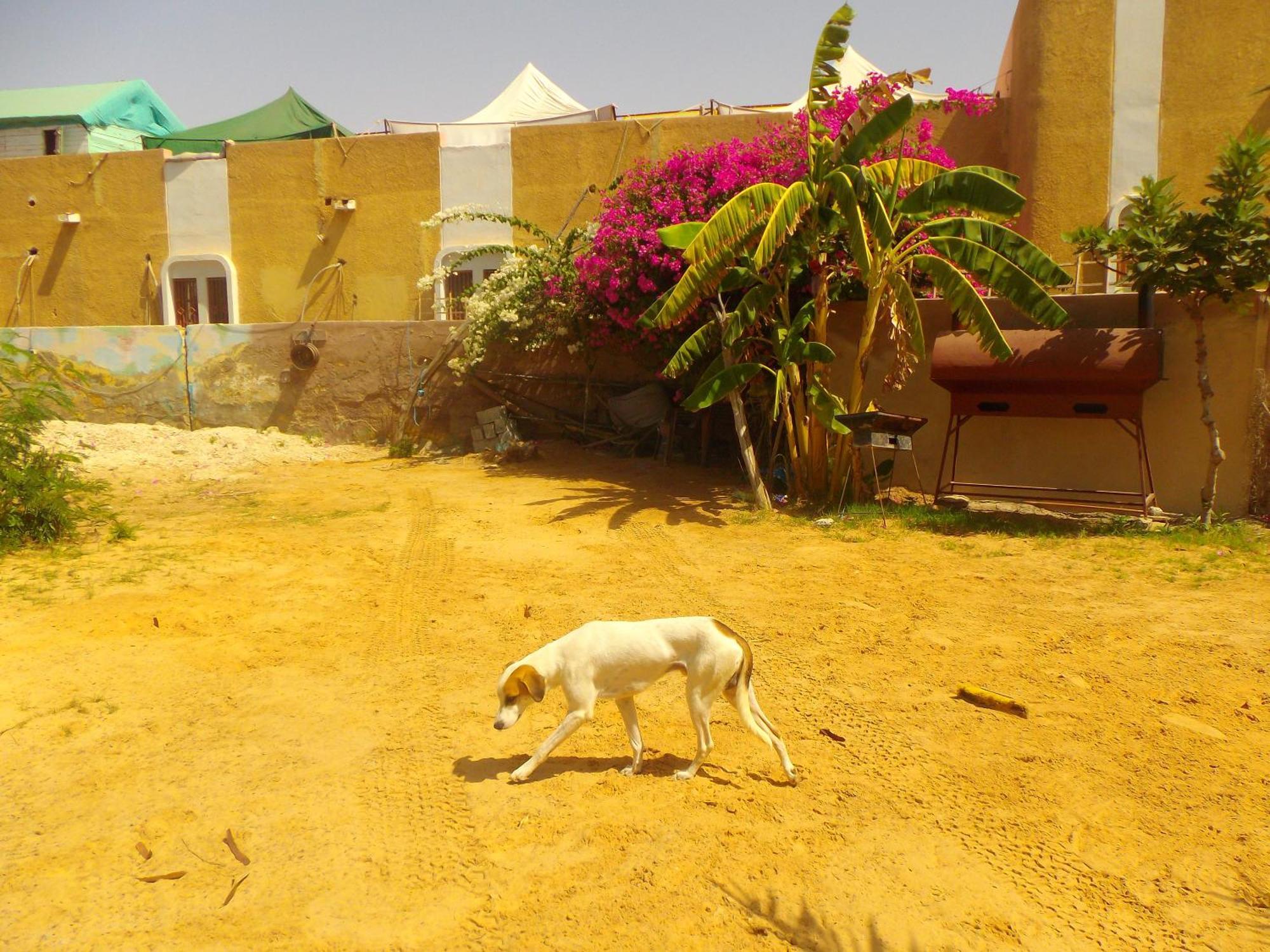 Auberge Triskell Nouakchott Buitenkant foto